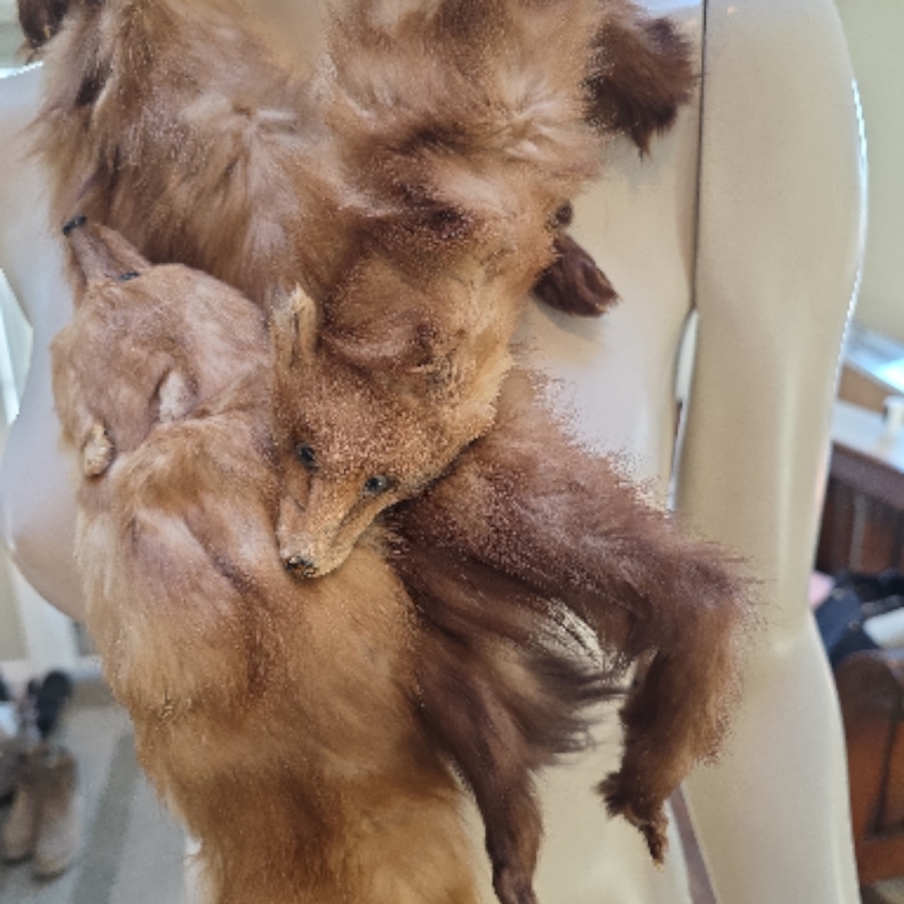 3 Vintage 1930's/40's Red Fox Fur Triple Stoles - Picture 1 of 16